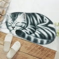thumbnail image 6 of BCZHQQ Shower,Tub,Bath Mat,Bathroom Rug,Non-Slip,Absorbent,Soft Mat for Bathroom,Adorable Design Cat-Picture Bath Mat Door Mat Dry Carpet,18"x9",Summer Clearance, 6 of 7