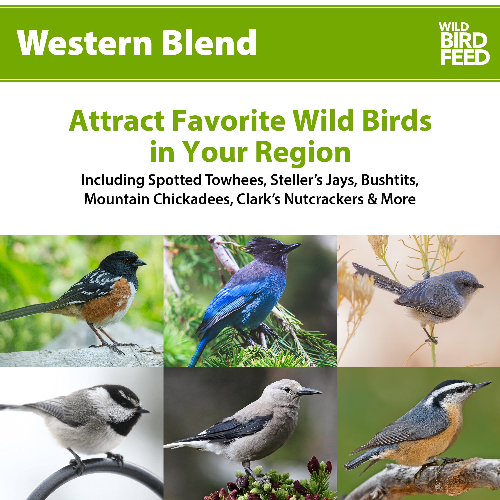 (3 pack) Western Regional Blend Wild Bird Food, Dry, 1 Count per Pack, 5 lb. Bag
