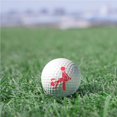 thumbnail image 3 of Soidarity Marcador de pelota de Golf, herramienta de alineación de señal de Humor para adultos, plantilla de marcador de señal, marcador delineador DIY, Golf No. 4 Soidarity OD015907-04, 3 of 6