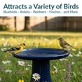 thumbnail image 3 of Sunnydaze Outdoor Weather-Resistant Garden Patio Classic High-Fired Smooth Ceramic Hand-Painted Bird Bath - Dark Blue, 3 of 10