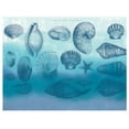 thumbnail image 2 of Allen, Candace 14x12 White Modern Wood Framed Museum Art Print Titled - Watercolor Coast Shells 2, 2 of 4