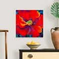 thumbnail image 4 of Great Big Canvas "Passion Red Poppy"  by Marion Rose Burgundy Plum   Wrapped Canvas Print Wall Artwork, 4 of 7