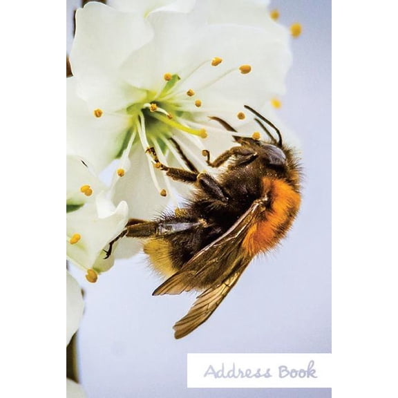 Address Book Flower Edition.: Address Book. : (Flower Edition Vol. D36) Glossy And Soft Cover, Large Print, Font, 6" x 9" For Contacts, Addresses, Phone Numbers, Emails, Birthday And More. (Paperback)