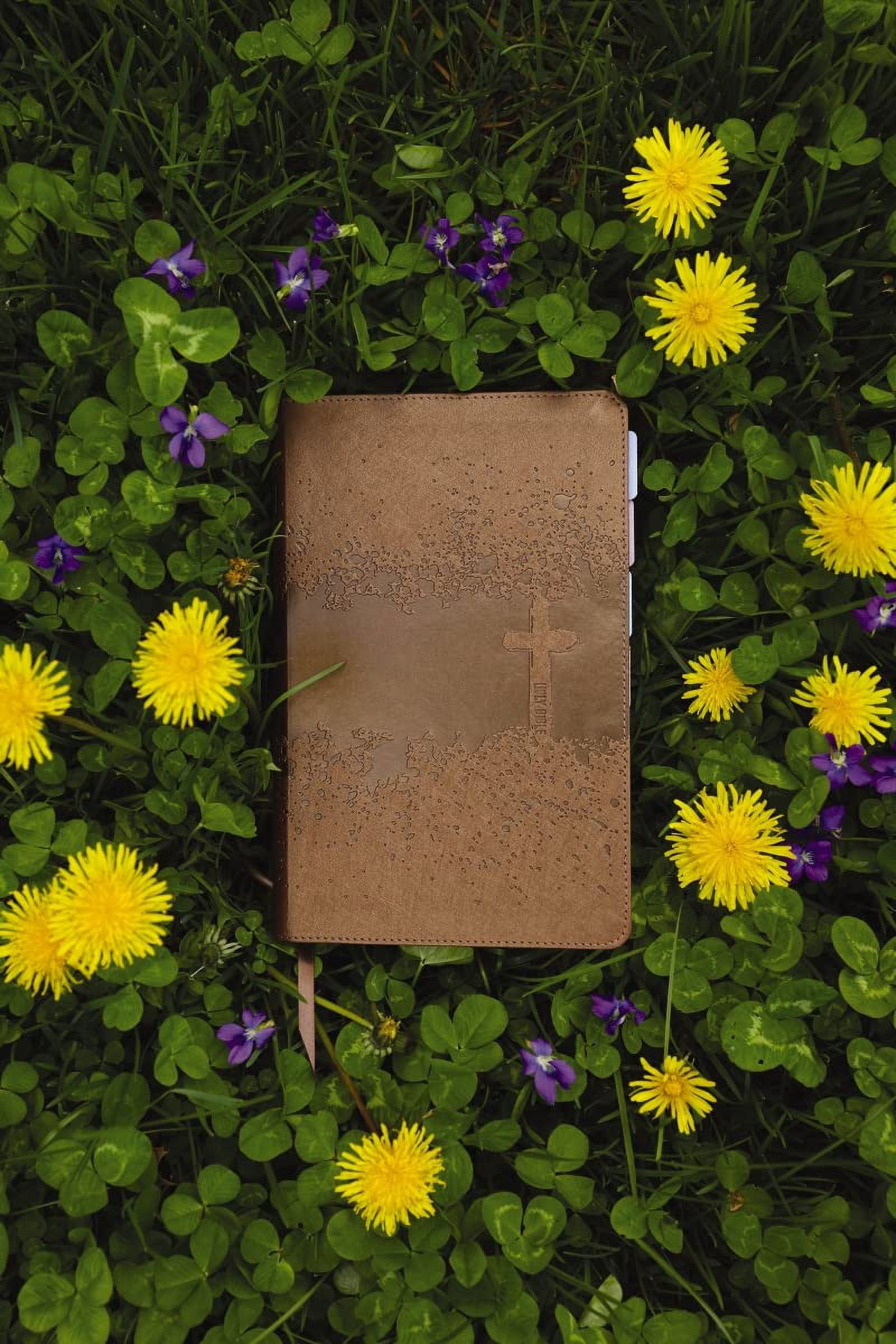 Niv, Kids' Visual Study Bible, Leathersoft, Bronze, Full Color Interior, Peel/Stick Bible Tabs: Explore the Story of the, (Hardcover)