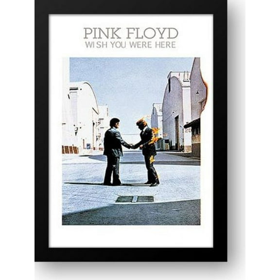 Pink Floyd - Wish You Were Here* 28x40 Framed Art Print