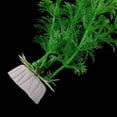 thumbnail image 3 of Planta artificial de plástico para acuario Verde 30 cm, 4PCS, Planta ER, 3 of 3