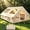 9.8x13.1 FT (8 to 10 people), variant on NEORIVER Inflatable Camping Tent with Skylight & Stove Jack – 420D Oxford Waterproof, Easy Setup Blow Up Tent with Pump, Storage Bag, Glamping Air Cabin for 4-6 Adults