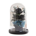thumbnail image 1 of Galaxy Flower Rose Gift-Infinite Rose, Glass Dome Eternal, 1 of 6