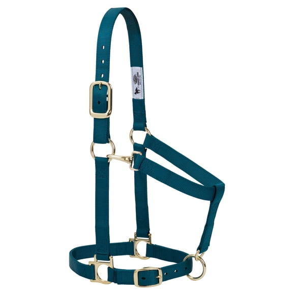 Cabestro básico ajustable de nailon Weaver Equine de 2,5 cm