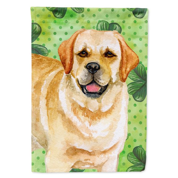 Carolines Treasures BB9838GF Golden Retriever St Patricks Flag Garden Size  Small multicolor