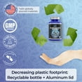 thumbnail image 5 of Vital-J Empowering Mushroom Power Complex 10-in-1 Nootropic Dietary Supplement for Gut Microbiome, Focus, Energy & Vitality - 120 Capsules, 5 of 7