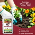 thumbnail image 5 of Brut Worm Farms Organic Worm Castings Soil Builder, 30 Pound Bag (8 Pack), 5 of 9