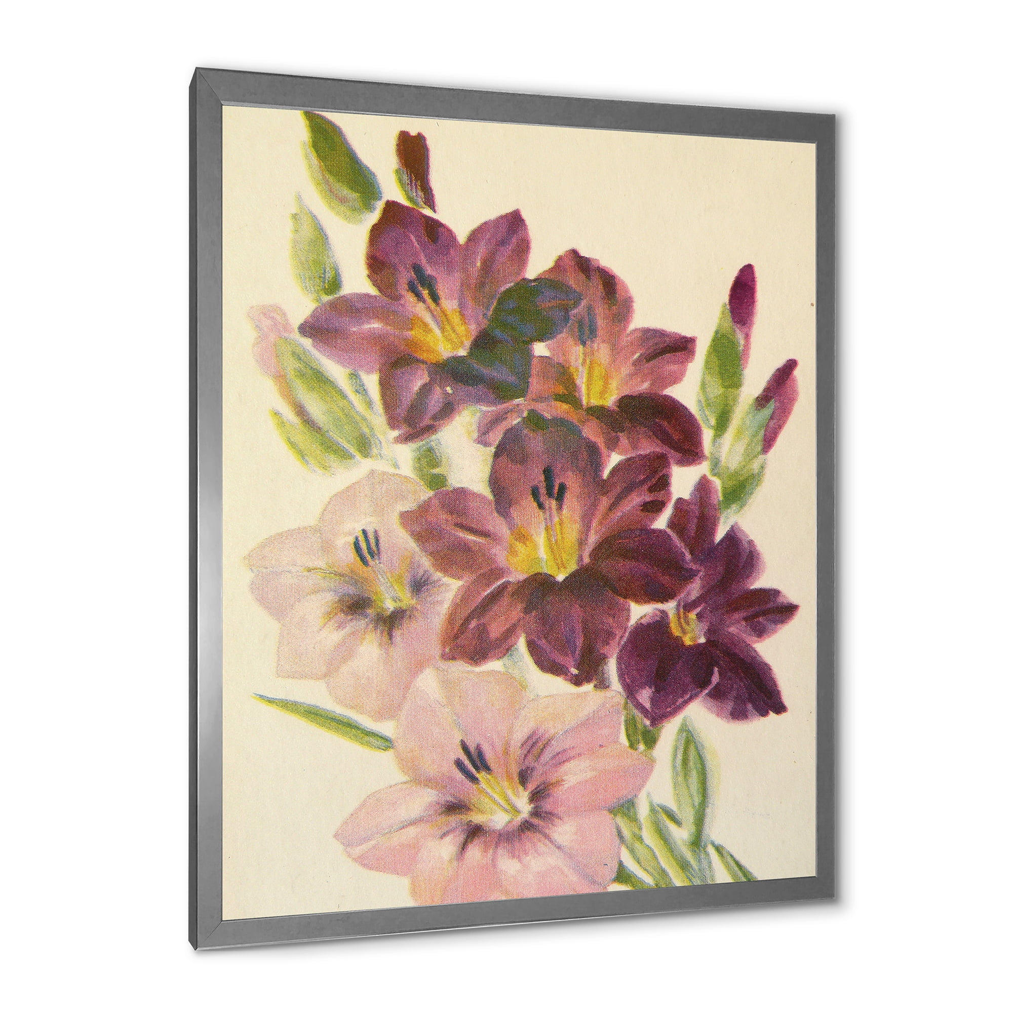 Designart 'Retro Dark and Light Pink Gladiolus' Traditional Framed Art Print