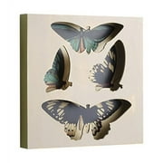 Demdaco - Nathan Murrell - Square Shadow Box - Butterfly