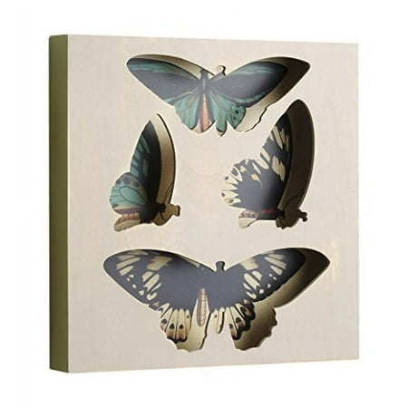 Demdaco - Nathan Murrell - Square Shadow Box - Butterfly