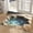 #4, variant on Optical Illusion Doormat, 3D Entryway Mat Optical Illusion for Bedroom, Living Room, Porch, Terrace and Entrance Decor