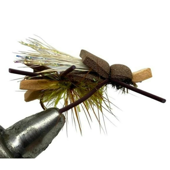 One Dozen (12) - Amy's Ant - Olive