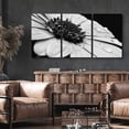 thumbnail image 2 of wall26 Canvas Print Wall Art Set Black &amp; White Daisy with Dew Droplets Floral Botanical Photography Realism Rustic Scenic Dramatic Grayscale Dark for Living Room, Bedroom, Office - 24"x36&qu, 2 of 6