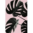 thumbnail image 2 of 1x Studio III 23x32 Gold Ornate Wood Framed with Double Matting Museum Art Print Titled - Monstera Pink No 01, 2 of 4