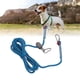 thumbnail image 4 of Correa para perro cuerda de tracción de nailon de acero inoxidable para mascotas reflectante ANGGREK Otros, 4 of 8