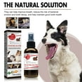 Yegbong Pet Tooth Cleaning Spray, Cats And Dogs Removal Tartar Stains