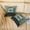 Sea Green, variant on Erosebridal Wildlife Wolf Throw Pillow Covers 18x18 Set of 2, Rustic Jungle Pillow Cases for Couch, Brown Cheetah Print
