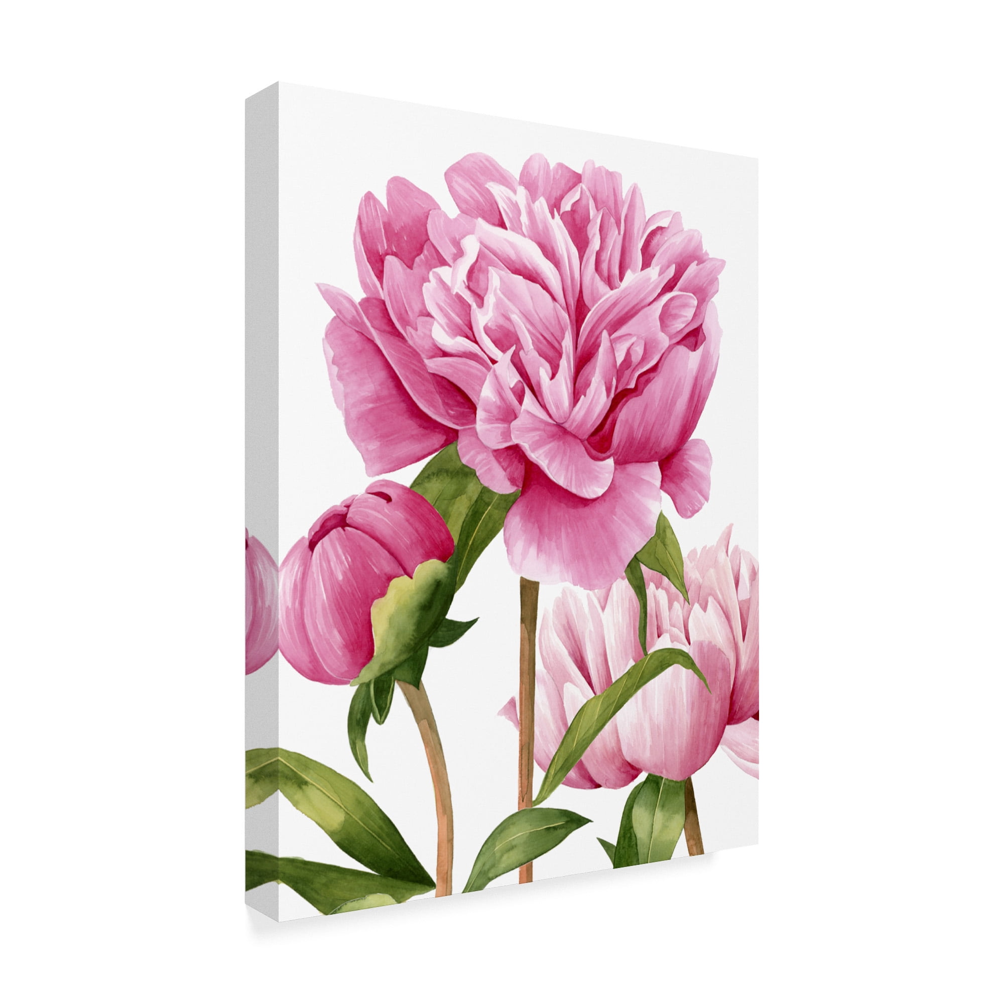 Trademark Fine Art 'Winsome Peonies II' Canvas Art by Grace Popp