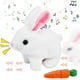 thumbnail image 1 of Easter Interactive Bunny Toy - Hopping and Talking Plush Rabbit for Kids 1-6 Years - Fun Stuffed Easter Toy for Boys and Girls, 1 of 5