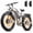 Y3 GRAY 60Ah(30Ah*2), variant on Electric Bike for Adults 5000W Dual Motor AWD 40MPH 210Nm Torque 52V 30Ah 90 Miles 26" Fat Tire Off Road E Mountain Bike Full Suspension Dual Hydraulic Brakes UL2849 Electric Bicycles