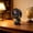 Gray-GY-clearacne, variant on tumgatte Rechargeable Clip On Fan 2400mAh 3 Speeds 3 Light Modes Portable Desk Fan Quiet USB Clip Fan for Office Bedroom Camping Stroller