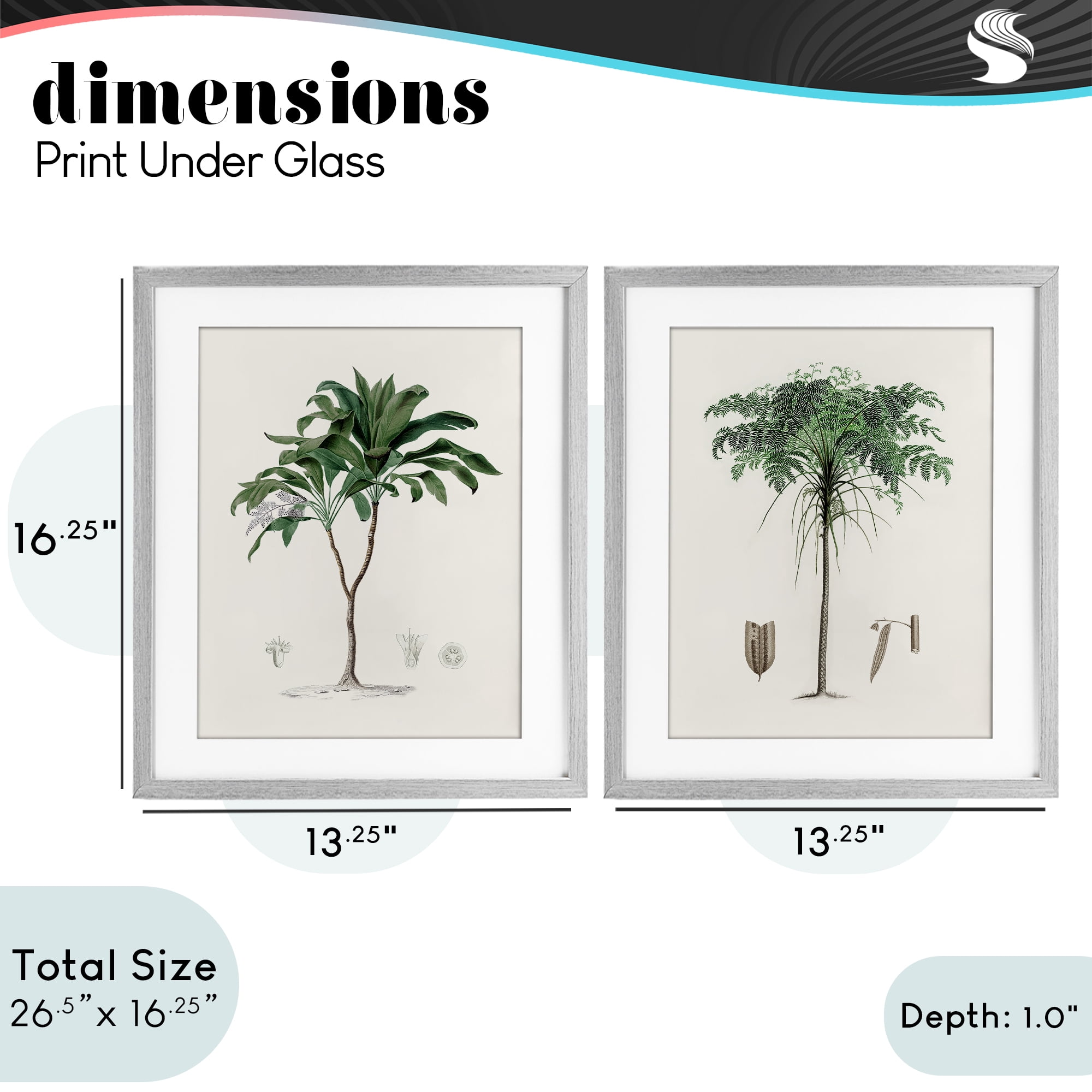 Stupell Industries Two Types of Palms 2 Piece Gray Framed Print Under Glass Set, design by Val Rhodes
