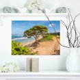 thumbnail image 1 of Green Tree on Beach in Kauai Hawaii - Seashore Canvas Art Print, 1 of 3