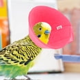 thumbnail image 2 of Parrot Cone Collar Anti-bite Bird Collar Lightweight Pet Bird Collar Parrot Neck Protection Ring (M), 2 of 8