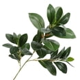 thumbnail image 4 of High Watercress Greenery for Lifelike Home and Garden Decorative Landscaping, 4 of 5
