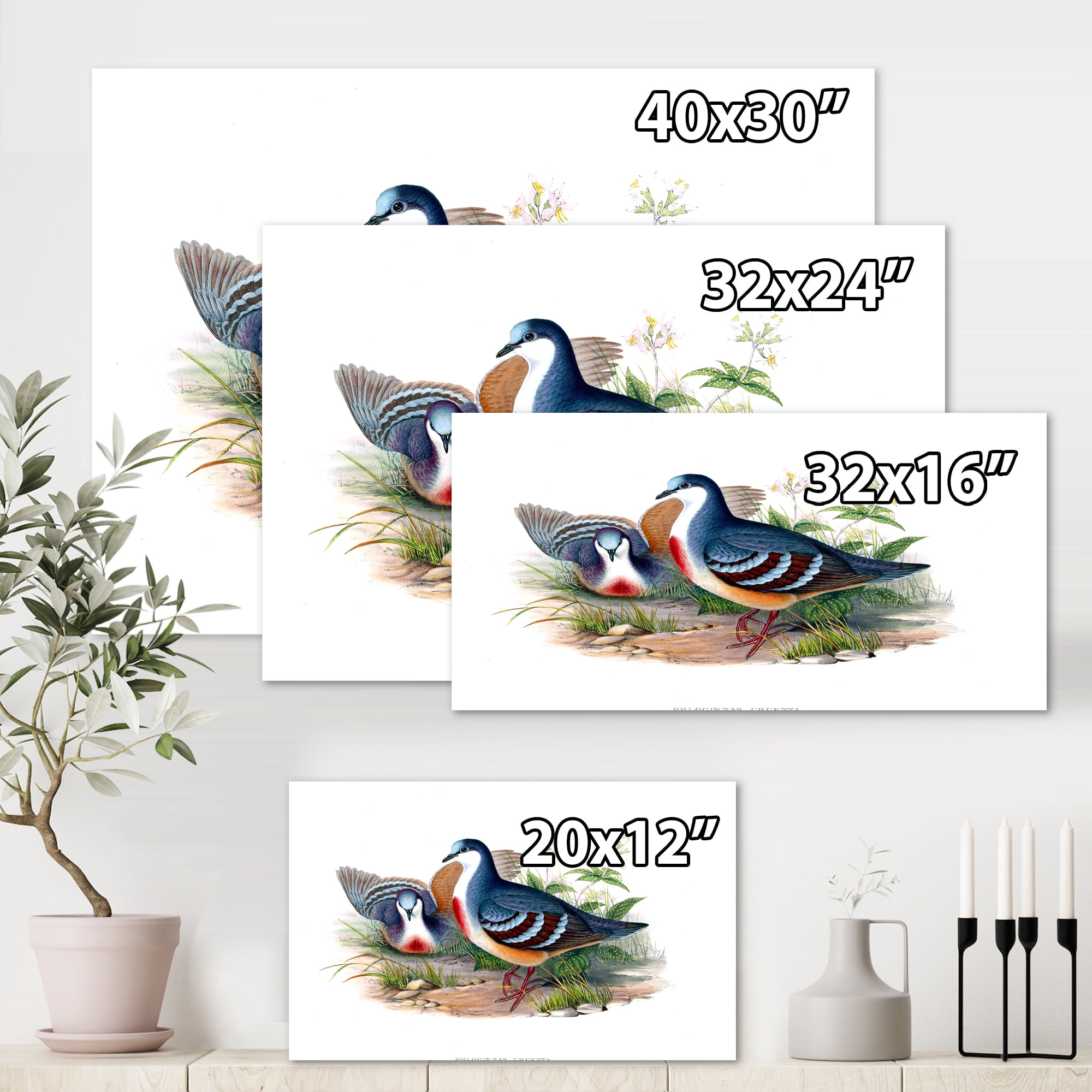 Designart ' Ancient Birds In The Wild IV ' Traditional Canvas Wall Art Print