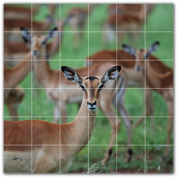 Picture-Tiles.com: Deer Ceramic Tile Wall Mural WAL500452-66S. 25.5"W x 25.5"H using (36) 4.25" x 4.25" Ceramic Tiles-Satin Finish