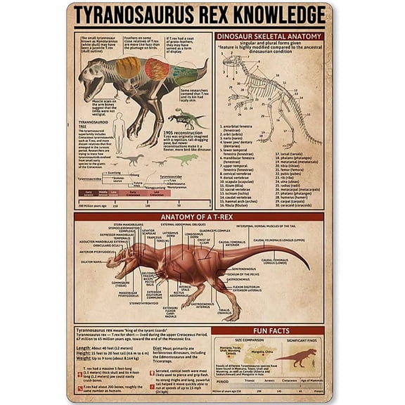 Tyrannosaurus Rex Knowledge Metal Tin Signs Dinosaur Reference Infographic Poster Office Room Home Wall Decor Art Plaques Size: 8 x 12 inch