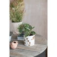 thumbnail image 3 of Creative Co-Op Terra cotta Flower Pot, Cream Color, 3 of 8