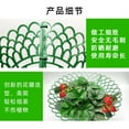 thumbnail image 4 of 5Pcs Strawberry Plant Support Racks Strawberry Supports for Garden Planting Racks Strawberry Plant Holders Strawberry Growing Racks Protector Strawberry Growing Frame Holders, 4 of 6