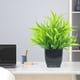thumbnail image 1 of Plantas decorativas artificiales simuladas de plantas verdes para interiores, arreglos para sala de estar, plantas de plástico en maceta para muebles de TV, 1 of 6