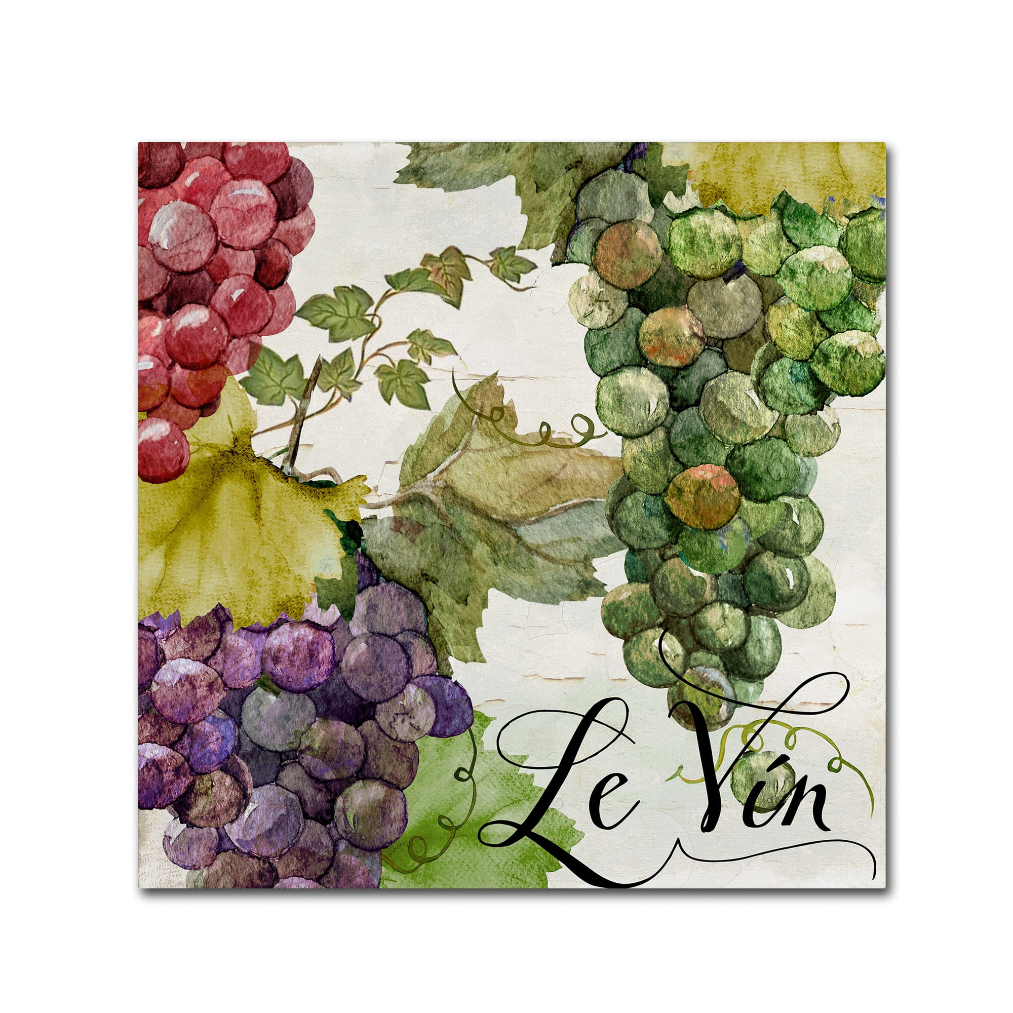 Trademark Fine Art "Wines of Paris II" Canvas Art by Color Bakery