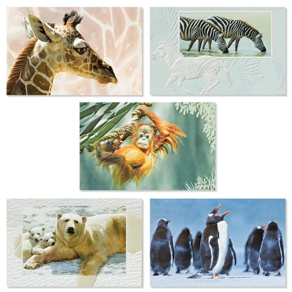 Deluxe Embossed Card Assortment – “Exotic Wildlife”, 30 Ct