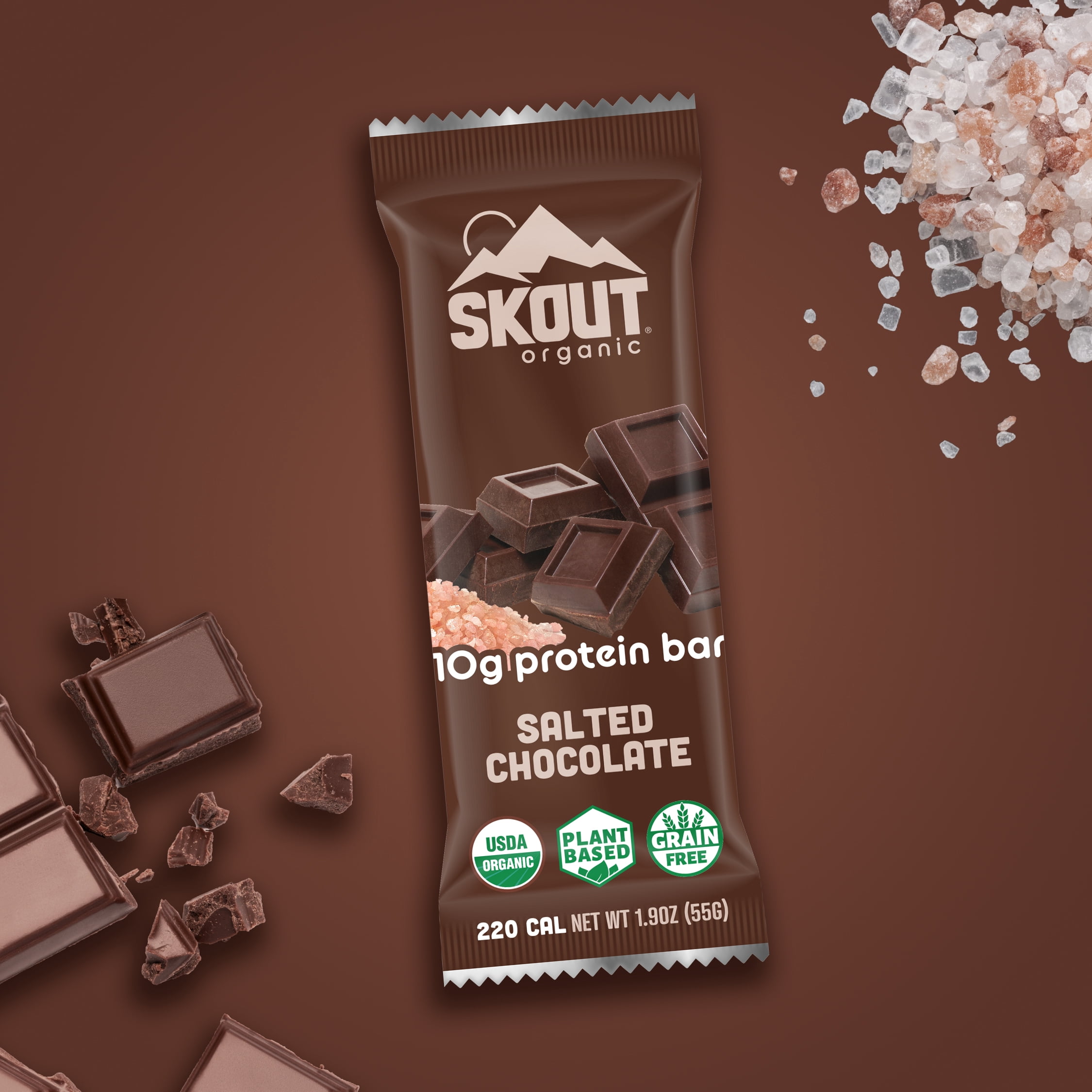 Skout Organic Protein Bars, Salted Chocolate, 4 Bars, 10g Protein, 1.9 Oz each