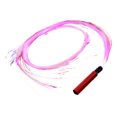 thumbnail image 1 of serony Light Up Party With Led Optic Whip Festivals Light Shows Led Light Whip Optical red handle, 1 of 6