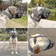 thumbnail image 5 of Soft Basket Muzzle For Dogs Secure And Comfortable Fit, Better Prevent Bites, Chewing And Barking Muzzle EAN9191174131599 3XL Reflective black, 5 of 5