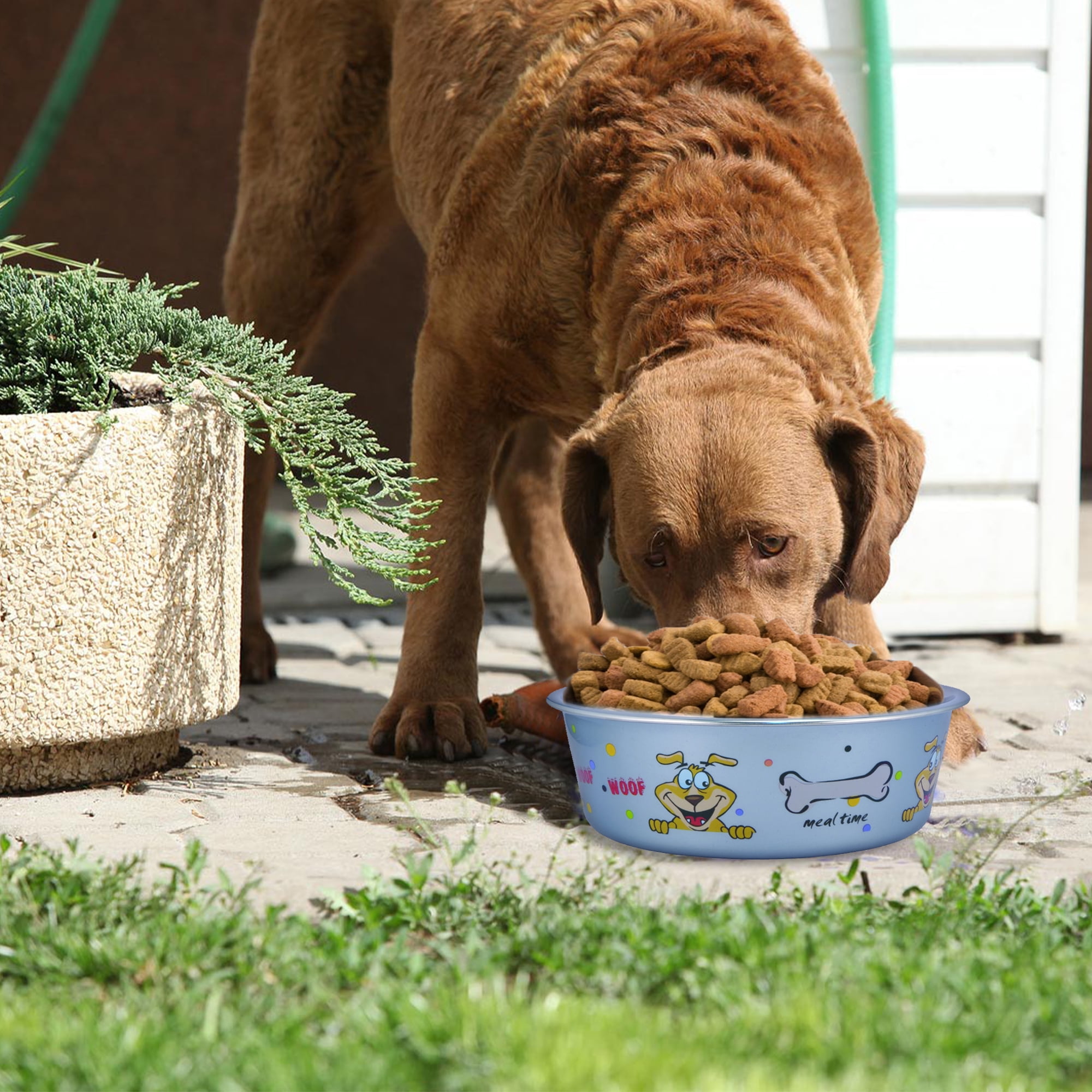 Pefilos 28.7 oz Stainless Steel Pet Bowl with Anti Skid Rubber Base and Dog Design, 2Pcs 6.69"x2.56" Dog Bowls for Small Dogs, Blue Pefilos 28.7 oz Stainless Steel Pet Bowl with Anti Skid Rubber Base and Dog Design, 2Pcs 6.69"x2.56" Dog Bowls for Small Dogs, Blue