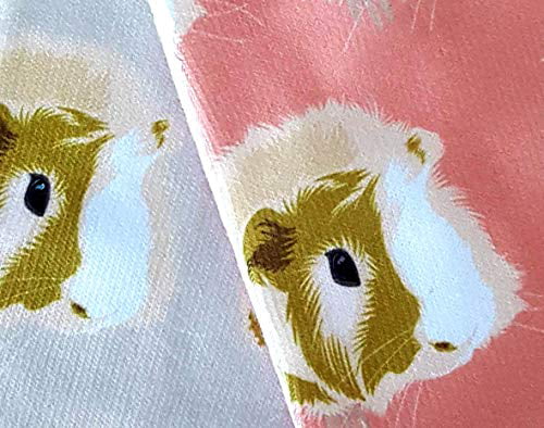 Corn Blue TWO PAIRS of Guinea Pig Faces Ankle Sock Set Pink 
