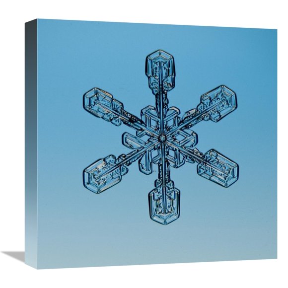 Flocon de Neige Vu au Microscope-Toile Art-18"x18"