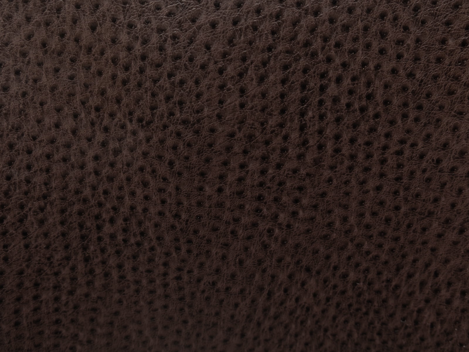 Marine Outdoor Indoor Vinyl Fabric Kenya Brown Ostrich 54" Wide By 10