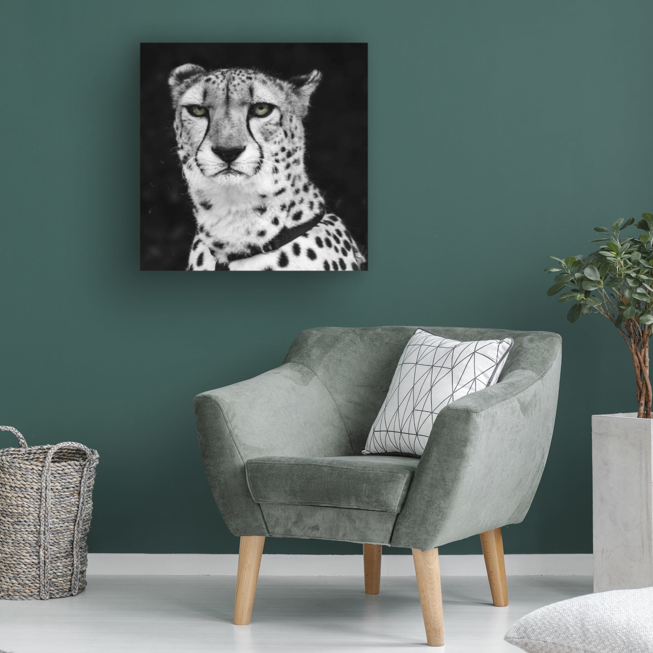 Canvas Wall Art - Decent Exposures 'Cheetah' Wall Art for Living Room, Bedroom, or Office Décor by Trademark Fine Art - 14 x 14 Inches